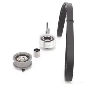 Комплект ремня ГРМ BOSCH 1987948069 SPANNROLLEN-SET 8 069 357030