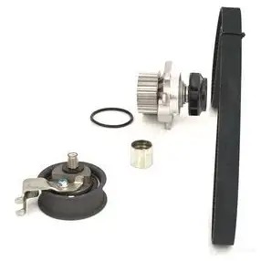 Ремкомплект ГРМ BOSCH 1987946491 RP2F54X 356259 WASSERP UMPEN-SET